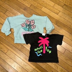 Girl’s Zara lot bundle tee shirt sweatshirt floral